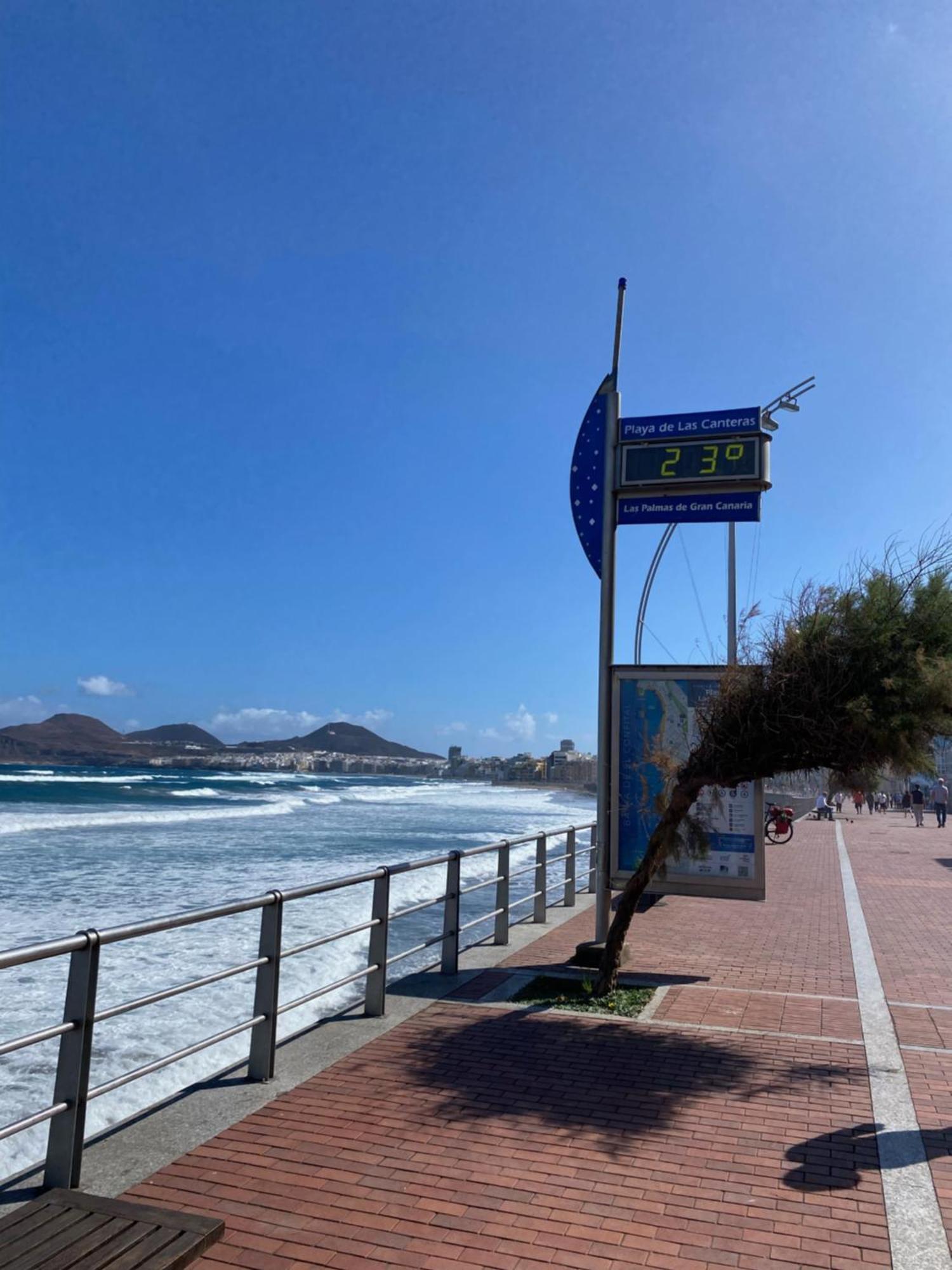 Apartament Loft Santa Catalina Park Las Palmas de Gran Canaria Zewnętrze zdjęcie